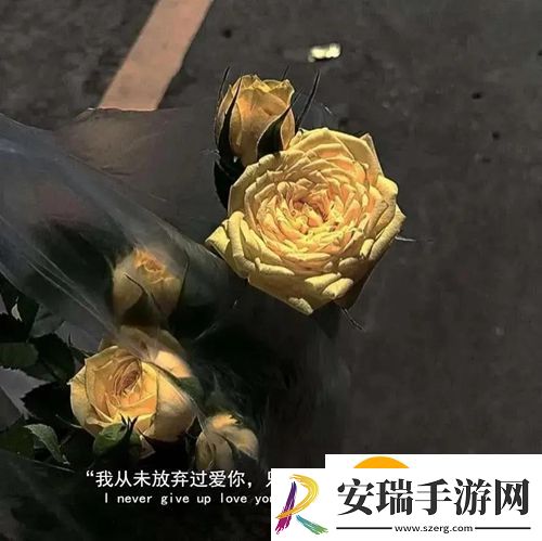 你在我心里的位置连我自己都羡慕图片
