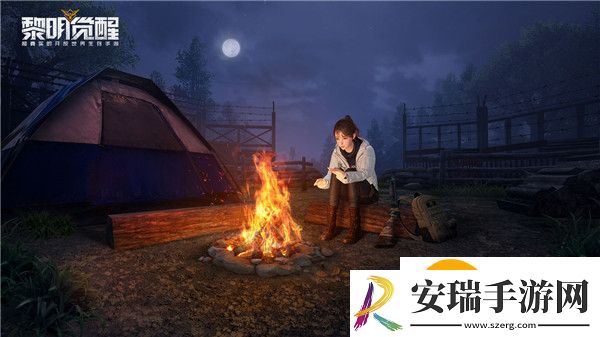黎明觉醒排队怎么办