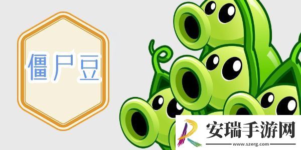 植物大战僵尸杂交版僵尸豆作用