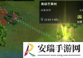 野兽领主新世界联盟远征雨林怎么过