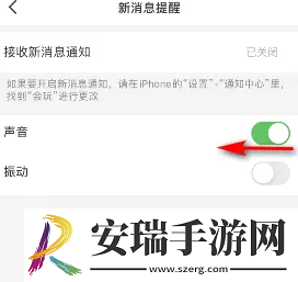 会玩怎么关闭声音