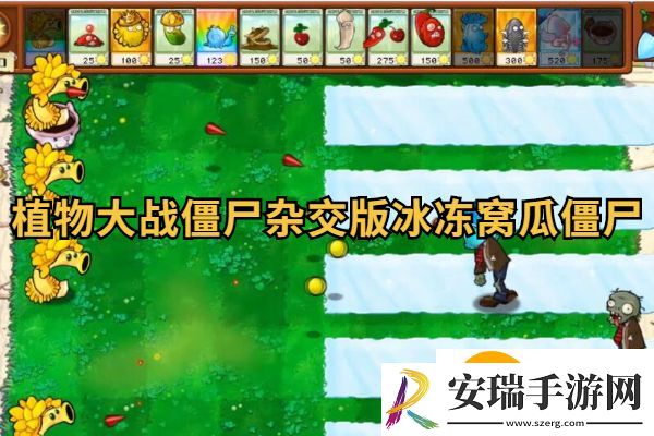 植物大战僵尸杂交版冰冻倭瓜僵尸介绍