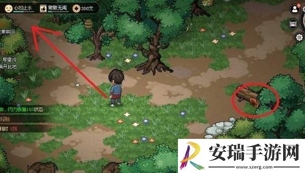 大侠立志传迷踪林攻略大全