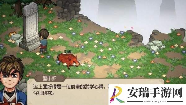 大侠立志传迷踪林攻略大全