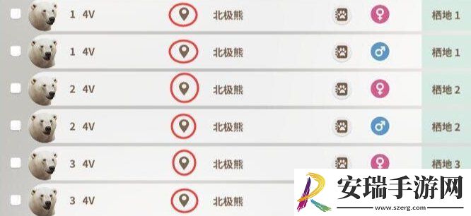 动物园之星品牌模式如何快速养殖4V动物