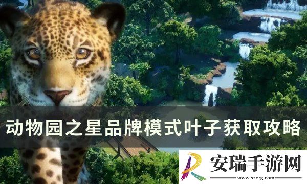 动物园之星品牌模式叶子怎么赚