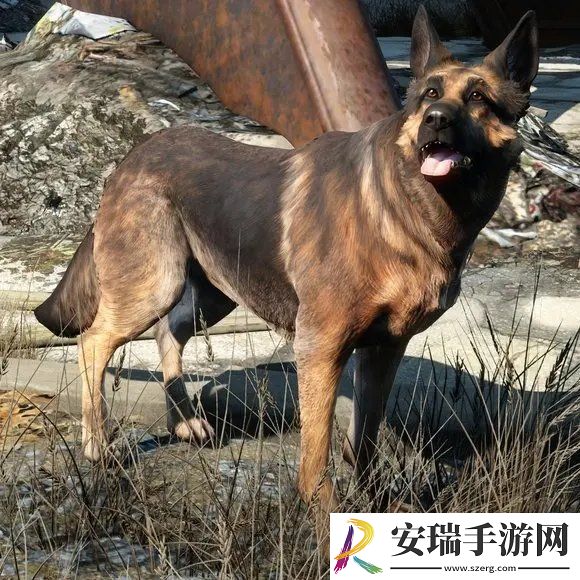 辐射4伙伴怎么加入