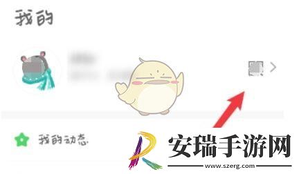 会玩怎么设置id
