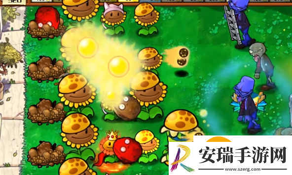 植物大战僵尸杂交版坚果保龄球有什么用