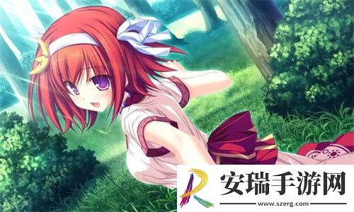 WEB成品网站