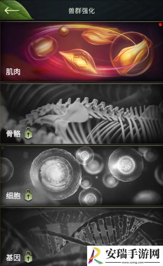 野兽领主新世界黑话有哪些