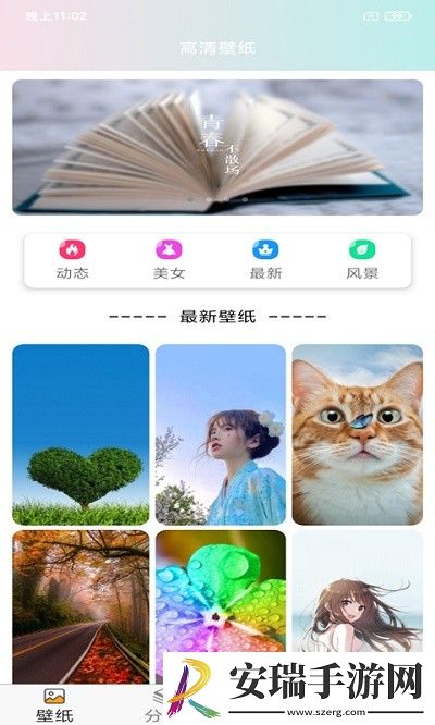 壁纸主题大全截图