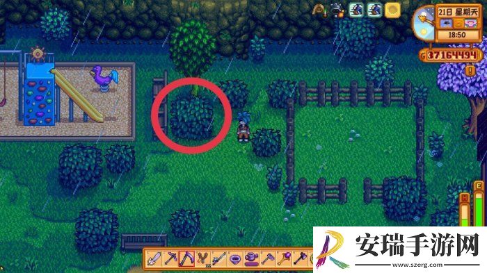 星露谷物语放大镜有什么作用
