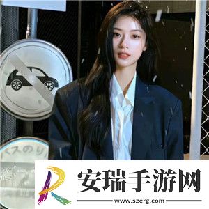 wordpress成品站