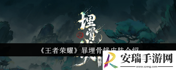 王者荣耀暃埋骨钱皮肤怎么样