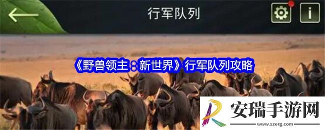 野兽领主新世界行**列攻略