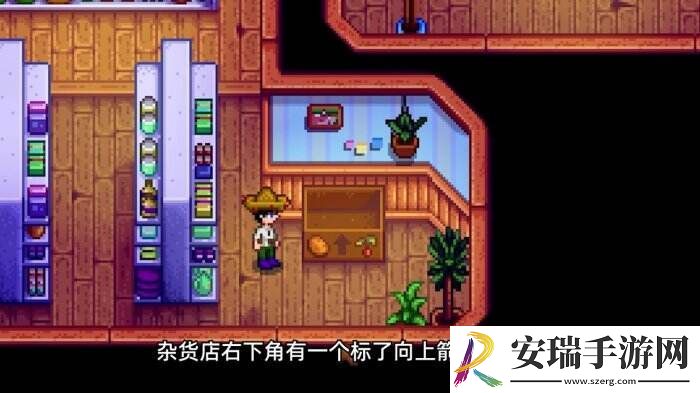 星露谷物语皮埃尔杂货店介绍