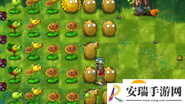 植物大战僵尸融合版冒险模式第6关怎么过