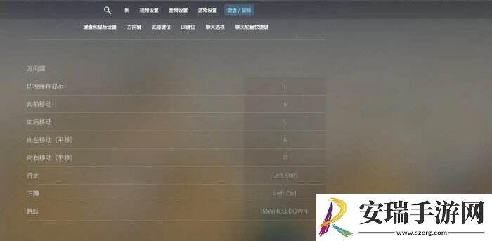 反恐精英CS2游戏设置怎么调