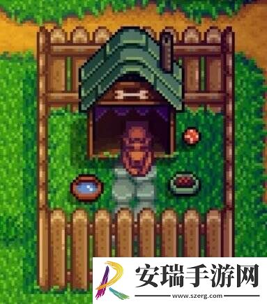 星露谷物语下水道旁边的熊什么时候出来