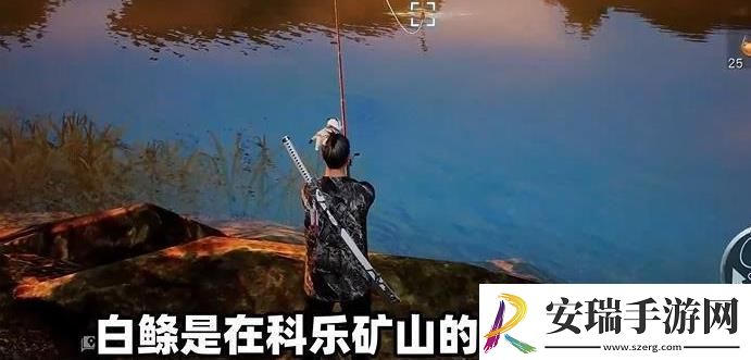 黎明觉醒白鲦鱼用什么鱼饵