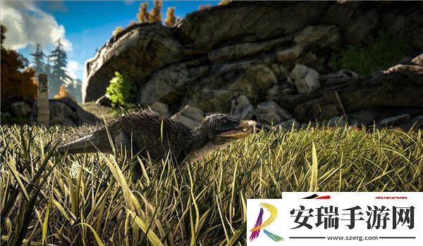 双坚颌龙代码一览