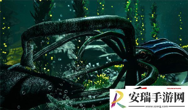 水下洞窟奇美无比