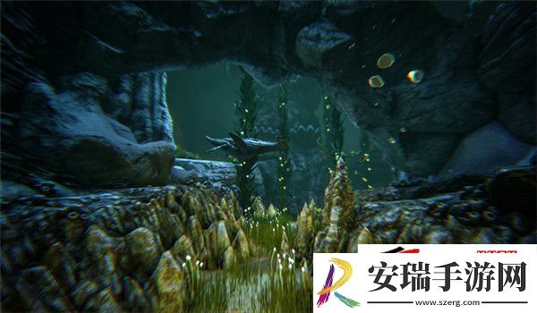 水下洞窟奇美无比