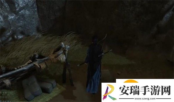 燕云十六声菩提苦海难因善果任务怎么做