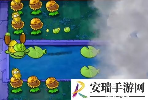 植物大战僵尸杂交版挑战模式第2关通关攻略