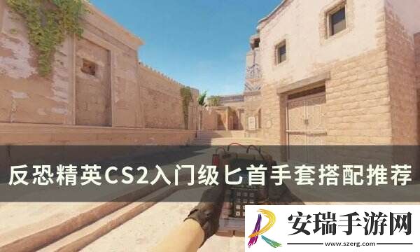 反恐精英CS2手套匕首怎么搭配