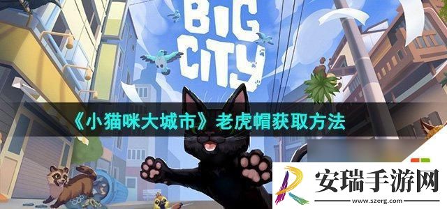 小猫咪大城市老虎帽获取途径