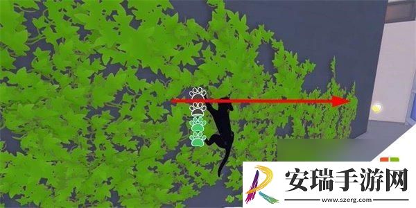 小猫咪大城市老虎帽获取途径