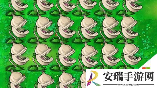 植物大战僵尸杂交版大蒜花效果