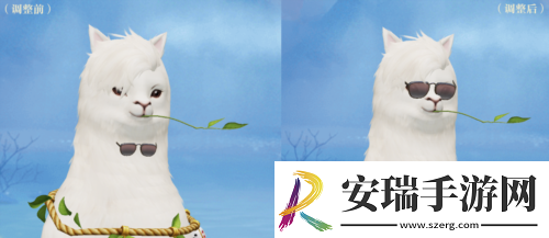 从今天开始