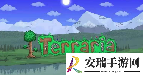 泰拉瑞亚开发者套装有多少套