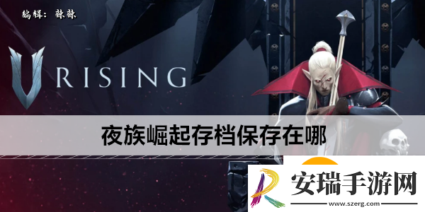 夜族崛起存档保存在哪