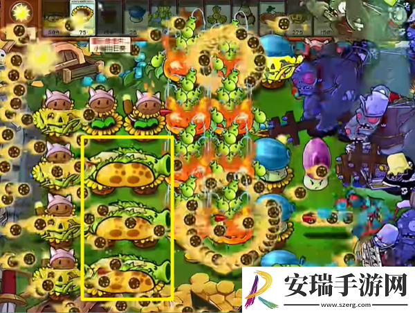 植物大战僵尸杂交版热狗射手1怎么通关