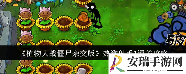 植物大战僵尸杂交版热狗射手1怎么通关