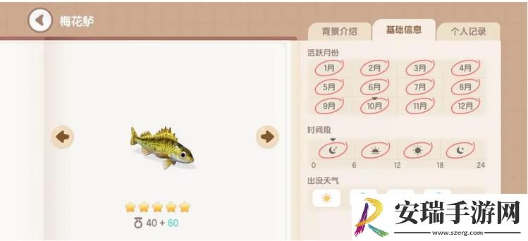 心动小镇梅花鲈在哪钓