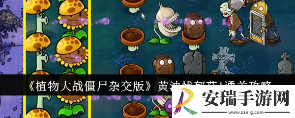 植物大战僵尸杂交版黄油忧郁菇1怎么通关