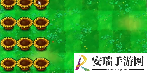 植物大战僵尸杂交版迷你游戏你看他们像柱子一样怎么过