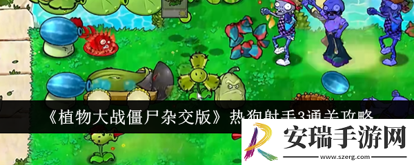 植物大战僵尸杂交版热狗射手3怎么通关