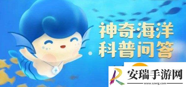 白骨壤是红树林的先锋树种猜猜为什么而得名