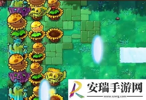 植物大战僵尸杂交版挑战模式第9关通关攻略