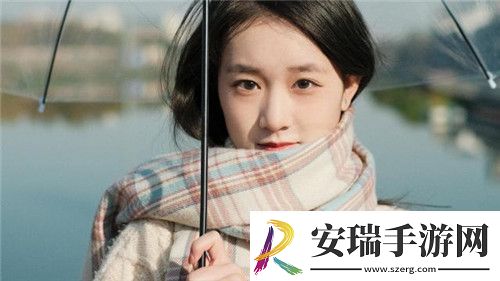 seo短视频网页入口引流