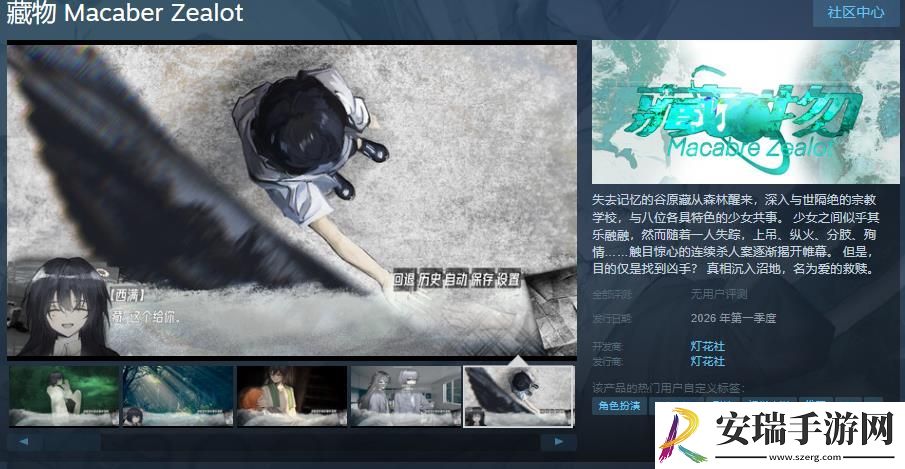 悬疑AVG藏物Steam页面