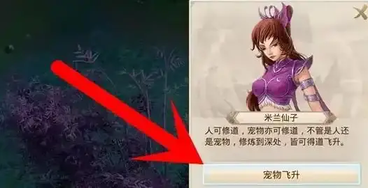 问道手游宠物飞升教程