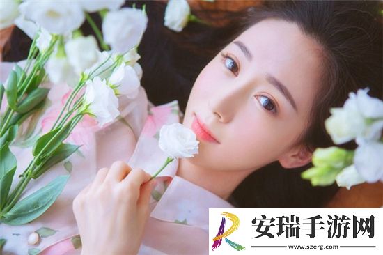 b站好看的纪录片免费