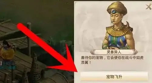 问道手游宠物飞升教程